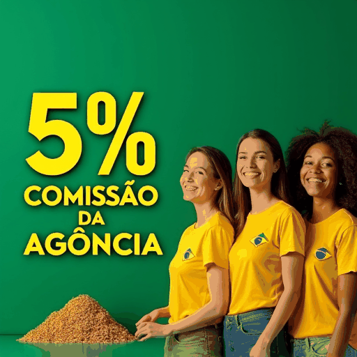 600jogo